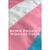 Trans 3x5 Transgender Pride Flag