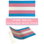 Trans 3x5 Transgender Pride Flag